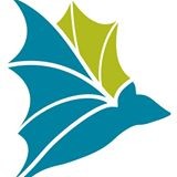 bat_conservation_international Logo