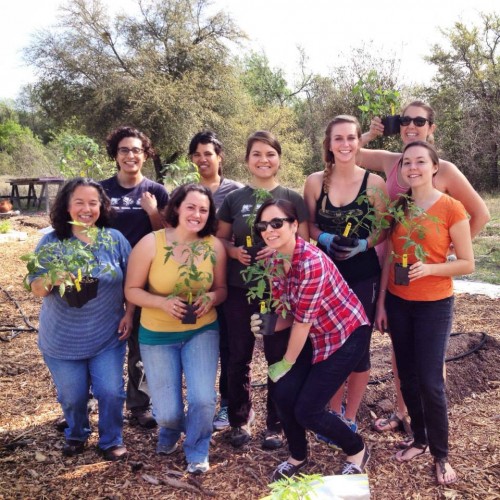 sustainable_food_center_team sustainable_food_center_team